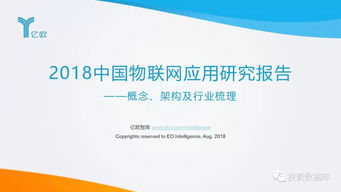 2018中國物聯(lián)網(wǎng)應用服務研究報告 連接萬物，智啟未來
